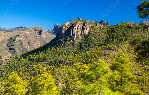 Gran Canaria, December