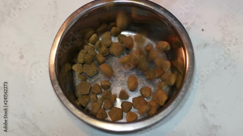 Cat or dog pellet meal close-up of pet dry food. Pile of cat or dog pellets.