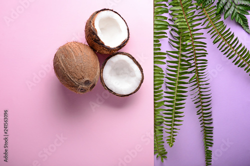 Coconuts and tropical leaves on color background