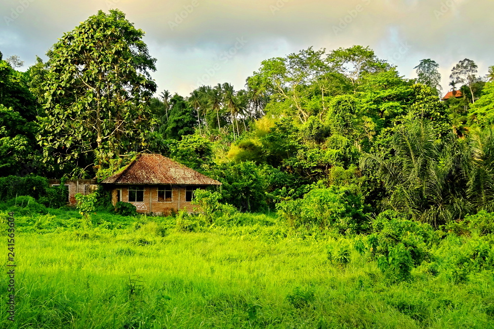 Small abandoned bungalow in the rain forrest in Bali Small abandoned bungalow in the rain forrest in Bali