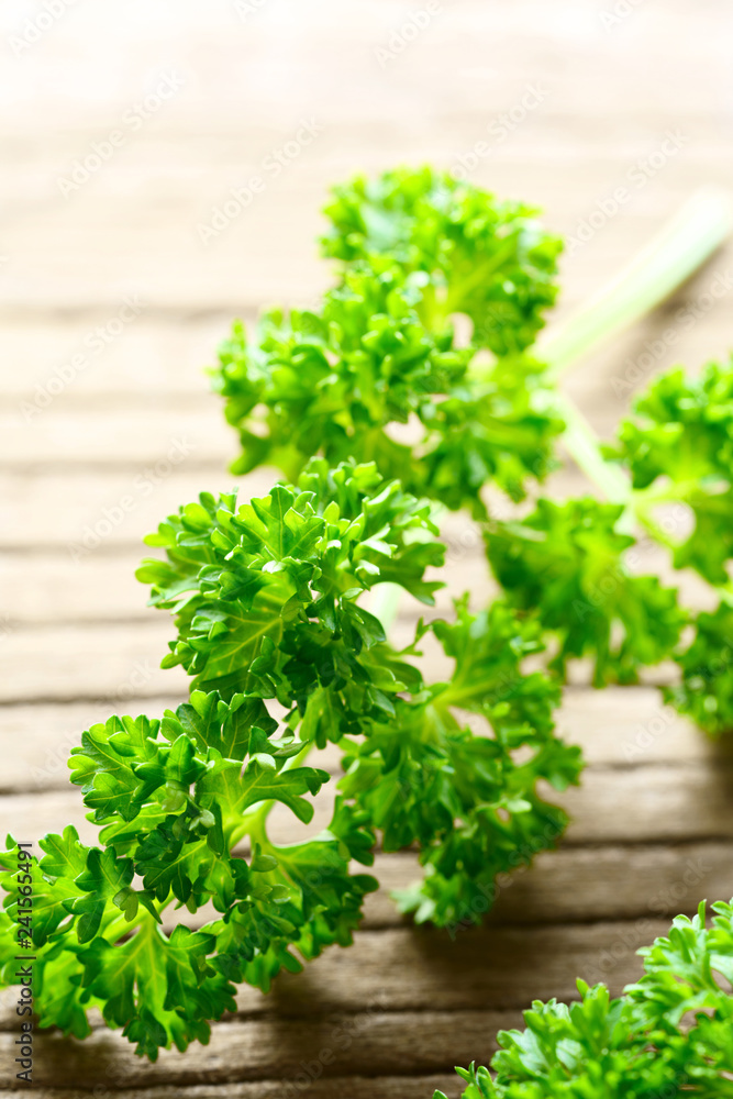 fresh curly parsley leaves on the wooden table fresh curly parsley leaves on the wooden table