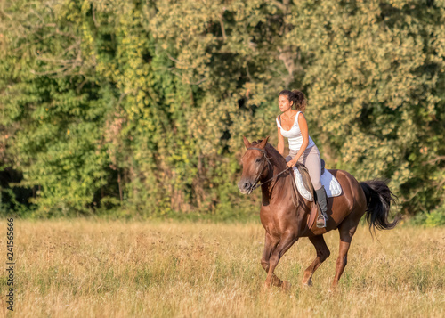 Una giovane ragazza a cavallo nei campi