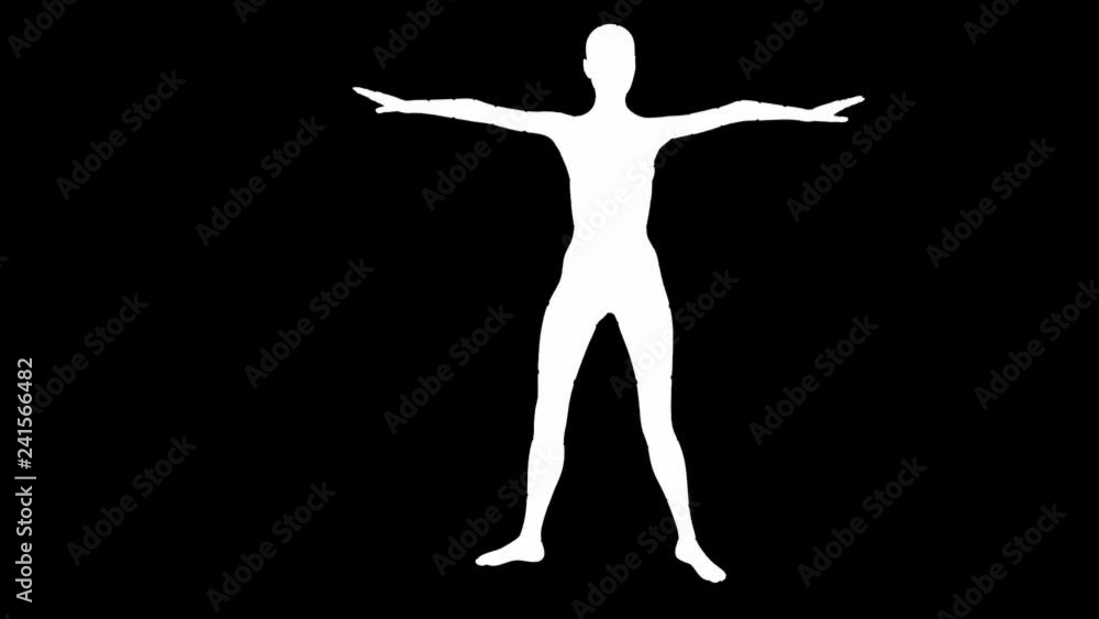 Looping animated 3D dancing female on a masked black background. Looping animated 3D dancing female on a masked black background.