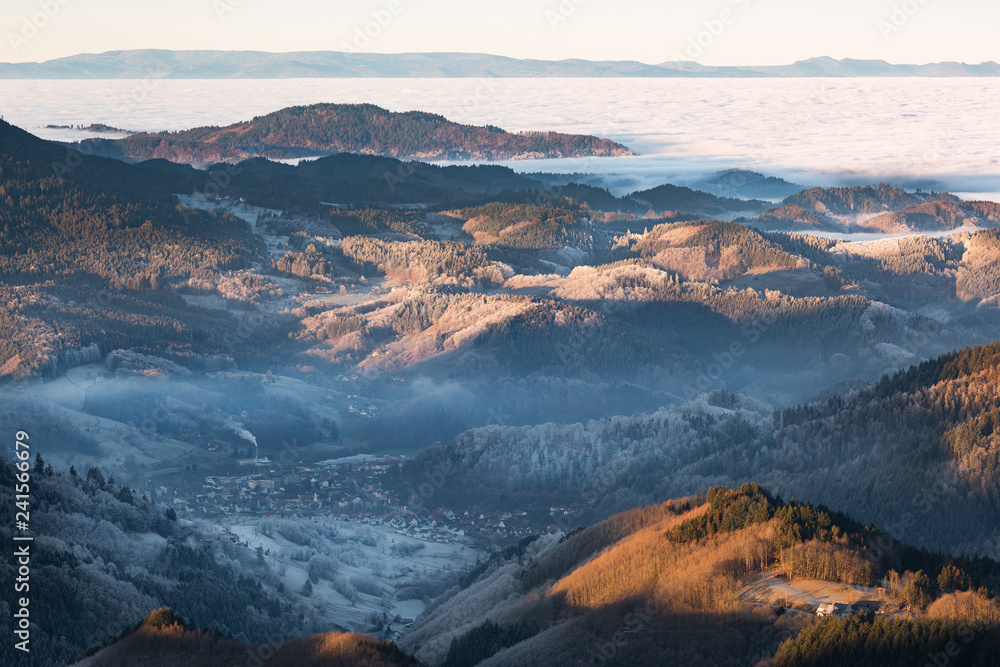 Nebelmorgen im Schwarzwald