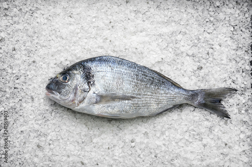 Fresh dorado fish on salt