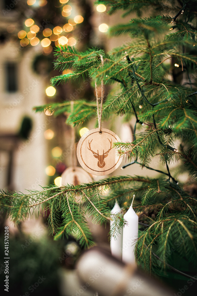 Fotografie Fir Branch with Christmas lights