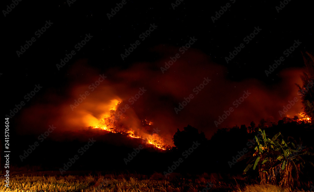 The fire was burning trees on the mountain at night with all stars in the sky. The fire was burning trees on the mountain at night with all stars in the sky.