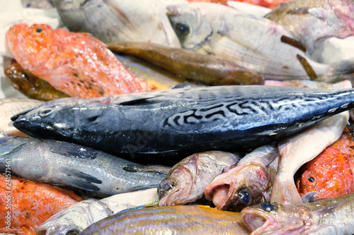 fresh fish on ice in fresh market - fresh sea food