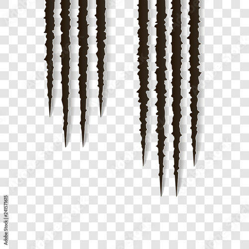 Top claws scratches - vector isolated. Talons cuts animal cat, dog, tiger, lion, claws scratches - vector