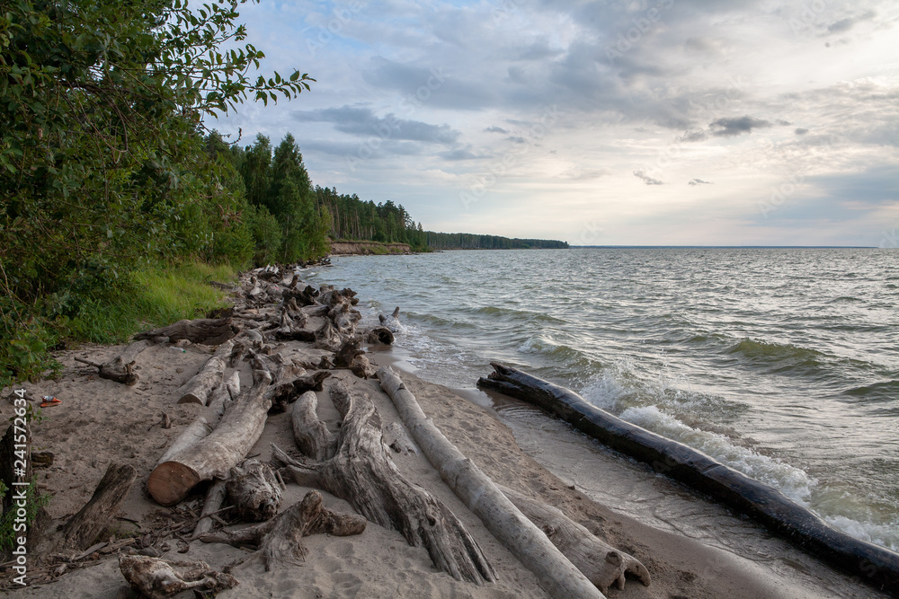 Wild beach