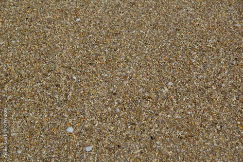Textured wet sand background