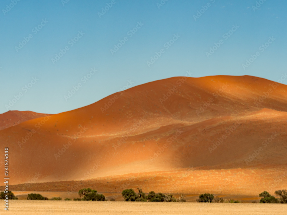 Obraz premium Big clouds over the salt pan Sossuvlei. Namib Naukluft National Park. Sand dunes in the pan of Sossusvlei. Namibia. Africa.