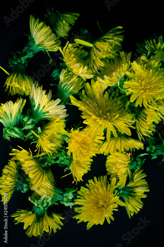 Fototapeta Naklejka Na Ścianę i Meble -  Dandelions background