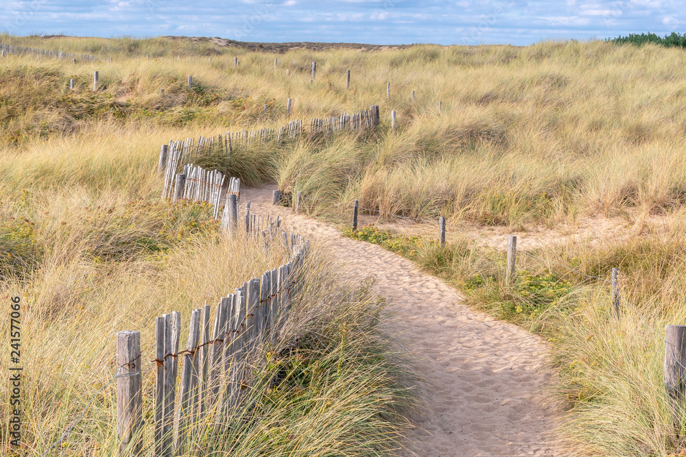 French landscape - Bretagne. Small path with dunes and grass.