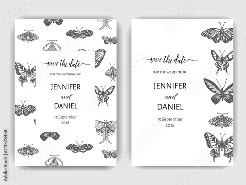 Hand drawn sketch wedding illustration butterfly. Vector card with butterflies.