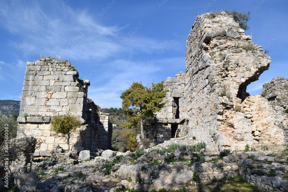 Ancient ruins. The ancient city of Kaunos. Mugla. Turkey	