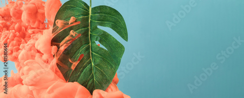 Obraz Tropikalny liść monstera z chmurą pastelowego koralowego koloru. Koncepcja lato tło. Minimalna sztuka abstrakcyjna.