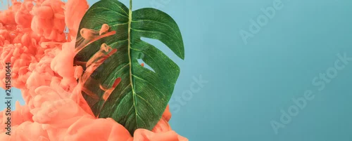 Obraz Tropikalny liść monstera z chmurą pastelowego koralowego koloru. Koncepcja lato tło. Minimalna sztuka abstrakcyjna.