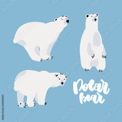 Cute polar bear set.