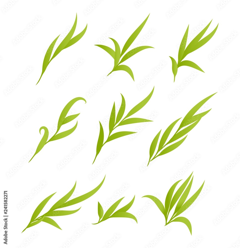 Vector green leaves, branches set Vector green leaves, branches set