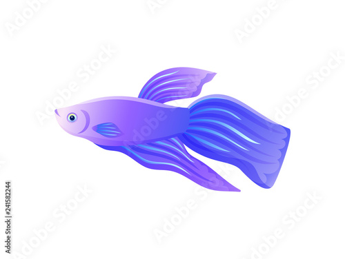 Bright Lilac Betta Fish with Big Flipper Banner