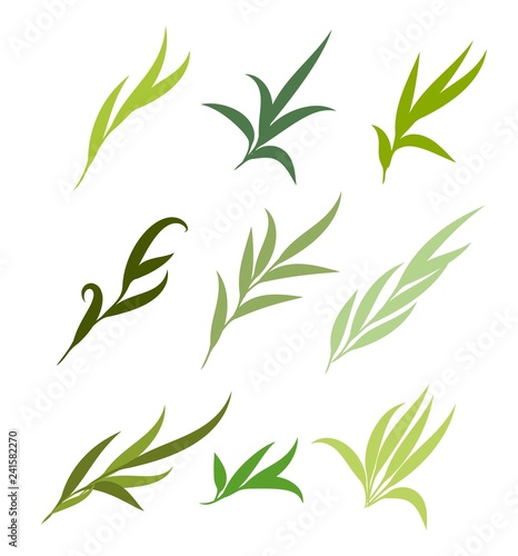 Fototapeta Naklejka Na Ścianę i Meble -  Vector green leaves, branches set