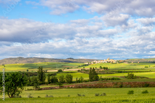 Scenic May agricultural landscape with wheat fields on the Camino de Santiago, Way of St. James, the town of Sansol in Navarre, Spain in the distance