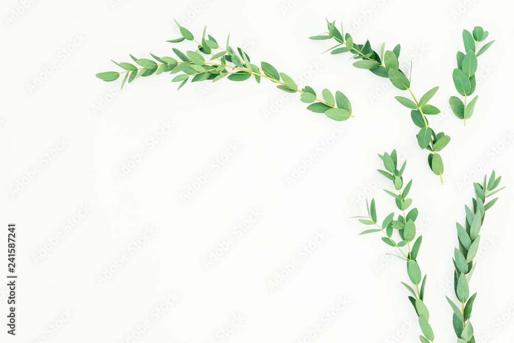 Floral frame of eucalyptus branches on white background. Flat lay, top view Floral frame of eucalyptus branches on white background. Flat lay, top view