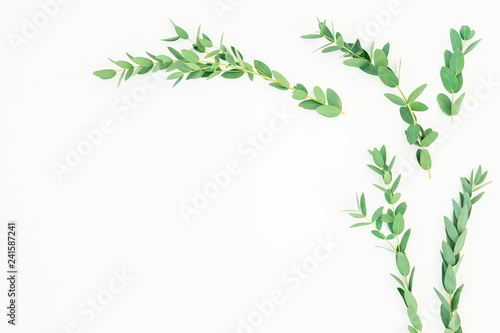 Floral frame of eucalyptus branches on white background. Flat lay  top view