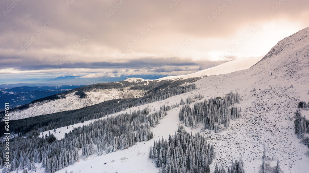Aerial view of snow covered forest at sunset.