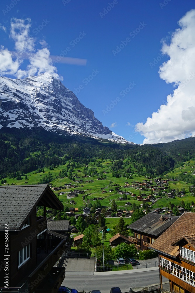 Grindelwald landscape in Alps near the Interlaken, Switzerland.