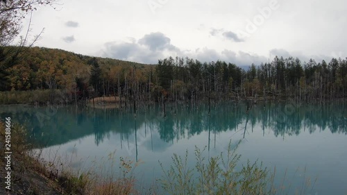 Blue pond (Aoiike) in Biei, Hokkaido Autumn season, It is the result of works on the Biei River, carried out after the 1988 eruption of Mount Tokachi