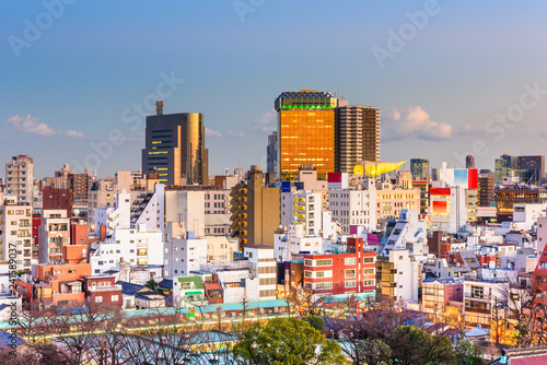 Tokyo, Japan city skyline from Sumida Ward