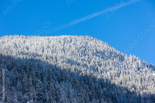 Swiss Winter cold Winter blue mountain