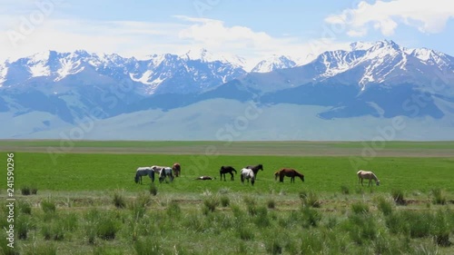 Naryn Region At Bashy Valley photo