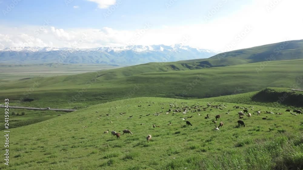 Kyrgyzstan Picturesque Suusamyr Valley 02 Kyrgyzstan Picturesque Suusamyr Valley 02