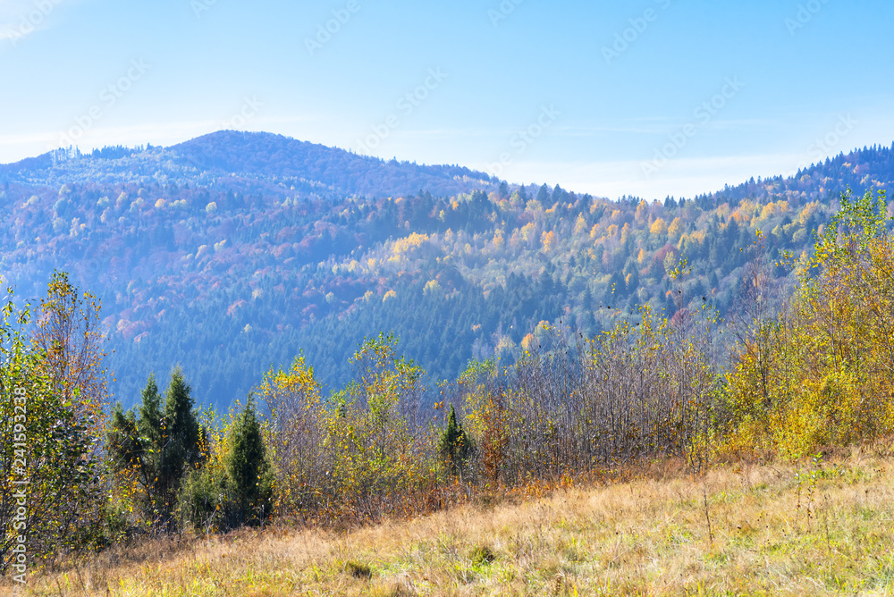 Landscapes of the Carpathian Mountains, Ukraine. Autumn time