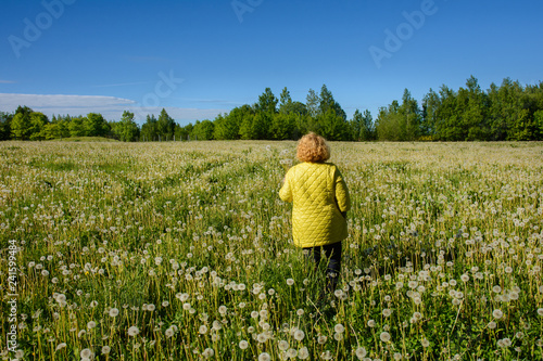 A woman walks into the forest in the field of dandelions
