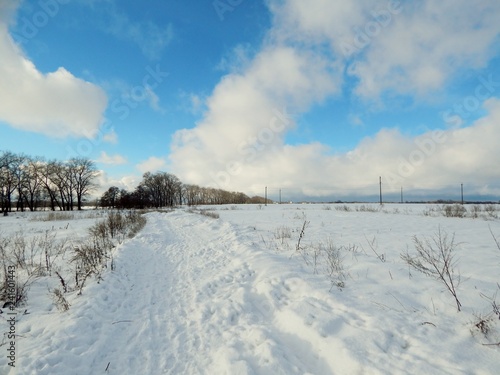 under the blue sky the snowy road lies