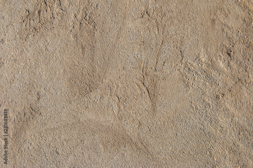 sand floor for Design art work floor texture background