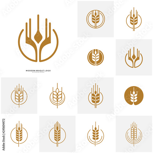 Set of Wheat Luxury Grain and bread labels. Nature wheat. Agriculture wheat Logo Template Vector