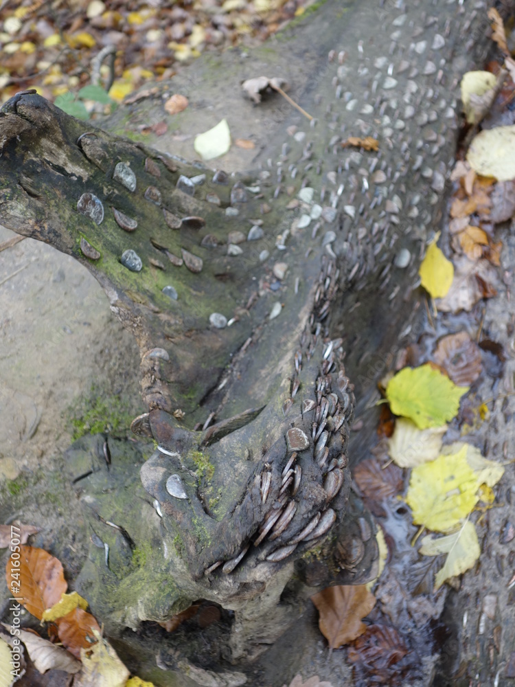 Obraz premium a log with embedded pennies