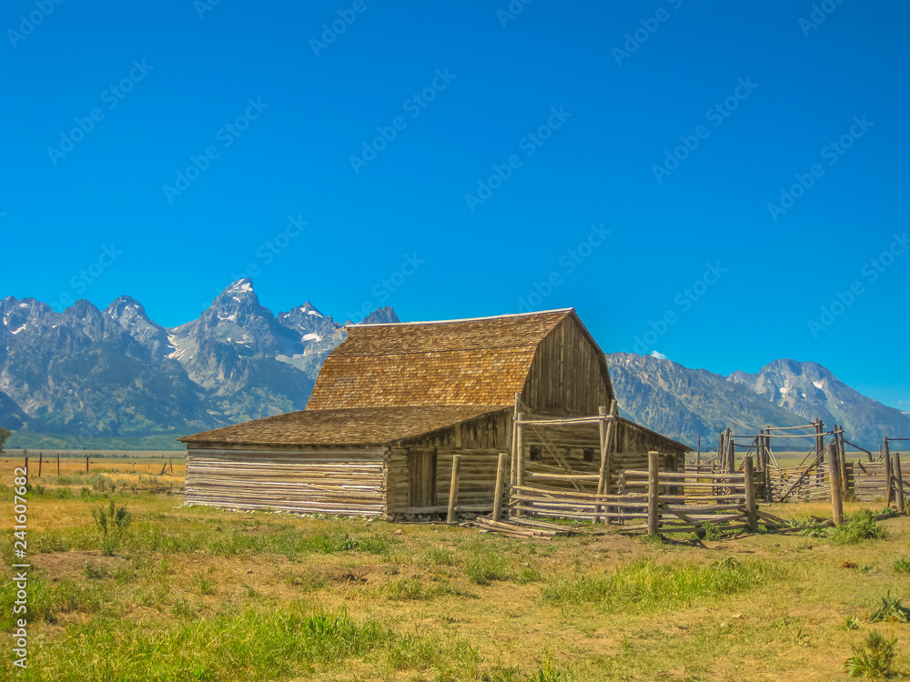 Moulton Barn in Antelope Flats at Grand Teton NP, Wyoming, United States. Popular landmark in the national park. North America travel in summer season. Blue sky with copy space.