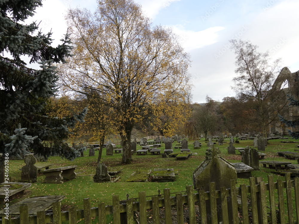 photo of a creepy old ancient graveyard in England