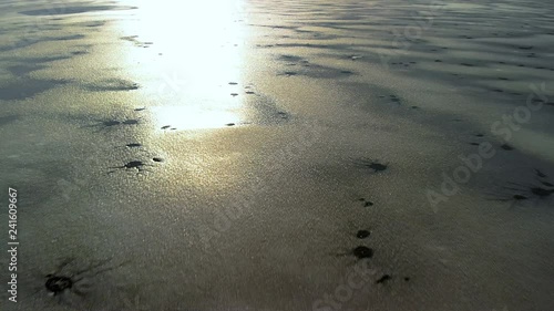 Aerial view of a frozen little Lake in Switzerland at a sunny winter Day