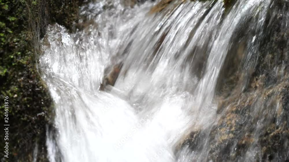木曽川源流域（笹川）／長野県木曽郡木祖村／夏