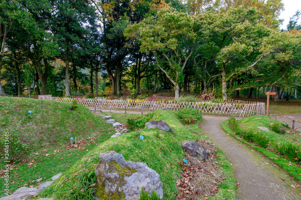 Beautiful Terra Nostra Botanical Park, Azores Beautiful Terra Nostra Botanical Park, Azores