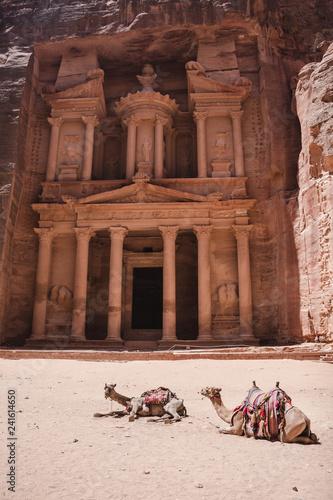 Camels in front of the Treasury Monument (Al Khazneh) in Petra, Jordan