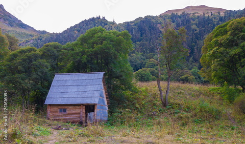 Mountain summer. Wooden hut