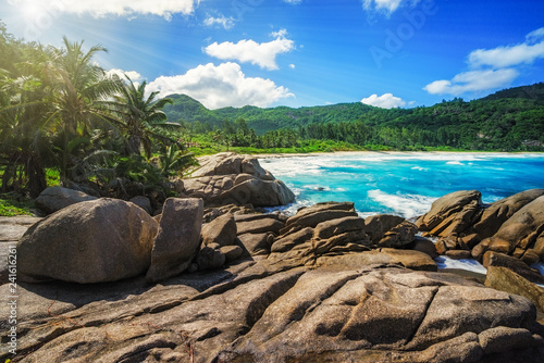 Granite Rocks,palms,wild paradise tropical beach,police bay, seychelles 10
